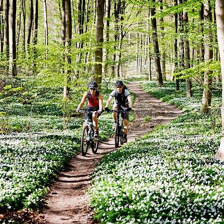 Vakantiehuis In Een Prachtige Bosrijke Omgeving In Twente! Bornerbroek Zewnętrze zdjęcie