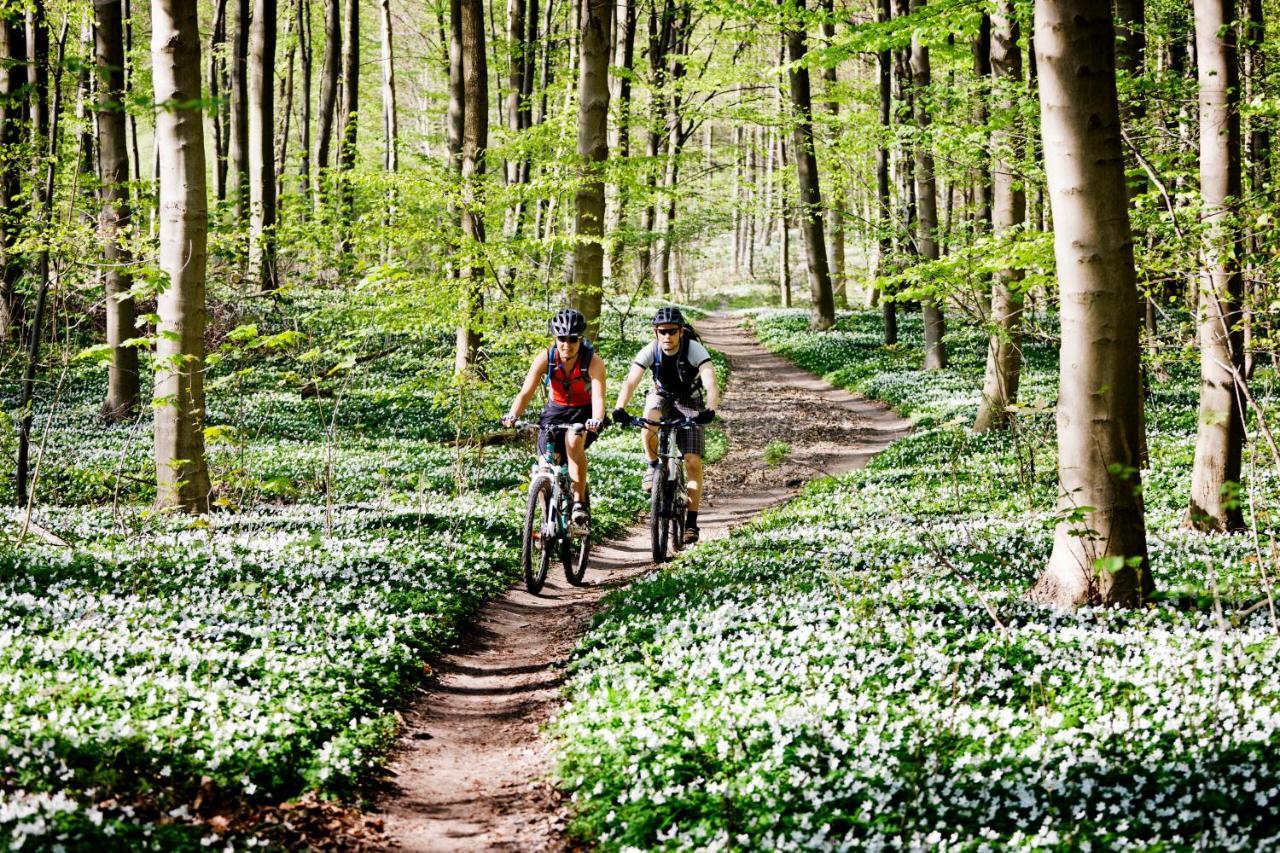Vakantiehuis In Een Prachtige Bosrijke Omgeving In Twente! Bornerbroek Zewnętrze zdjęcie