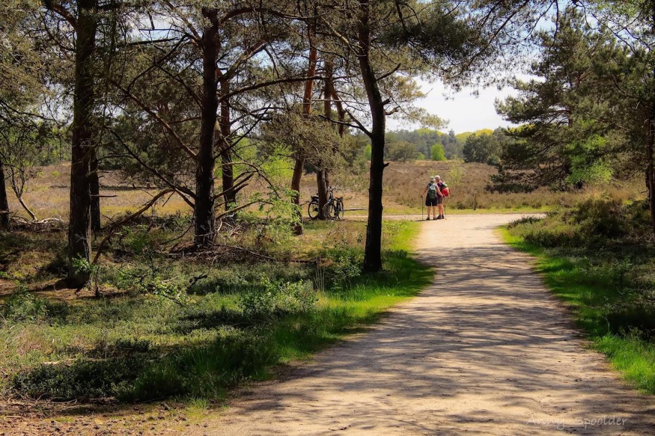 Vakantiehuis In Een Prachtige Bosrijke Omgeving In Twente! Bornerbroek Zewnętrze zdjęcie